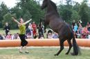 Esquisse Equestre 1 * 3504 x 2336 * (3.9MB)